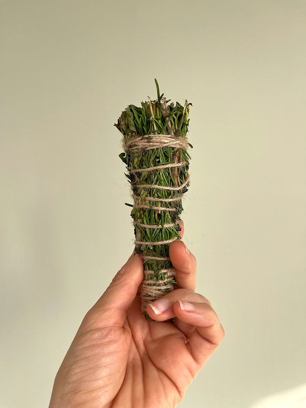 Energía y Protección