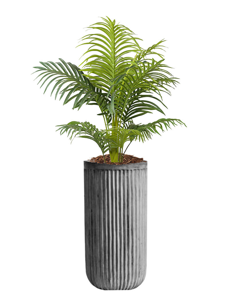 Maceta Diseño Valkiria de Cemento Pulido de 44 cm + Palmera Hawaiana