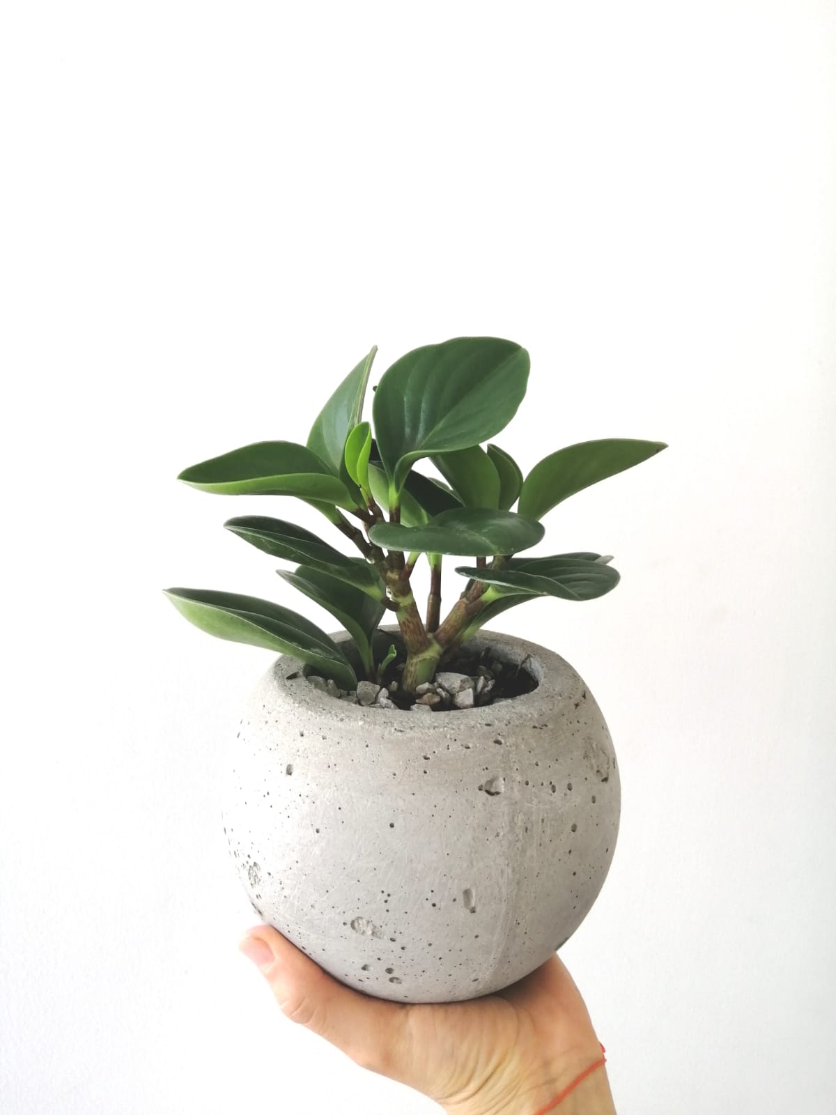 Maceta Diseño Esfera de Cemento Poroso