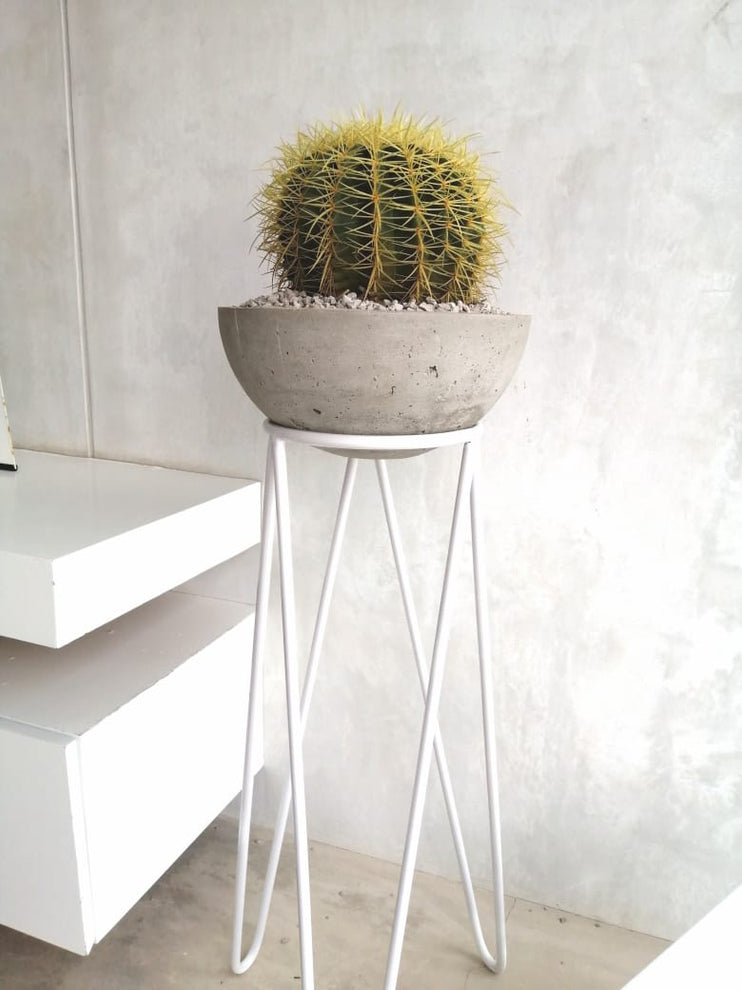 Porta Macetas Diseño Tripode + Media Esfera de Cemento Poroso de 3o Cm+ Planta Asiento de Suegra