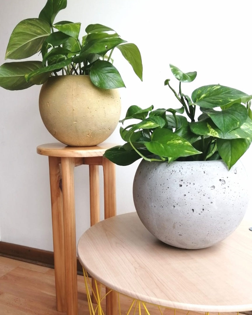 Maceta Diseño Esfera de Cemento Poroso