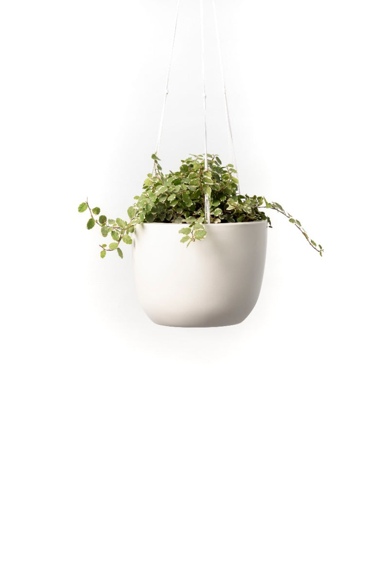 Maceta Diseño Pot Colgante de Fibra de Vidrio