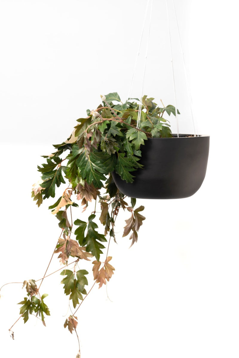 Maceta Diseño Pot Colgante de Fibra de Vidrio