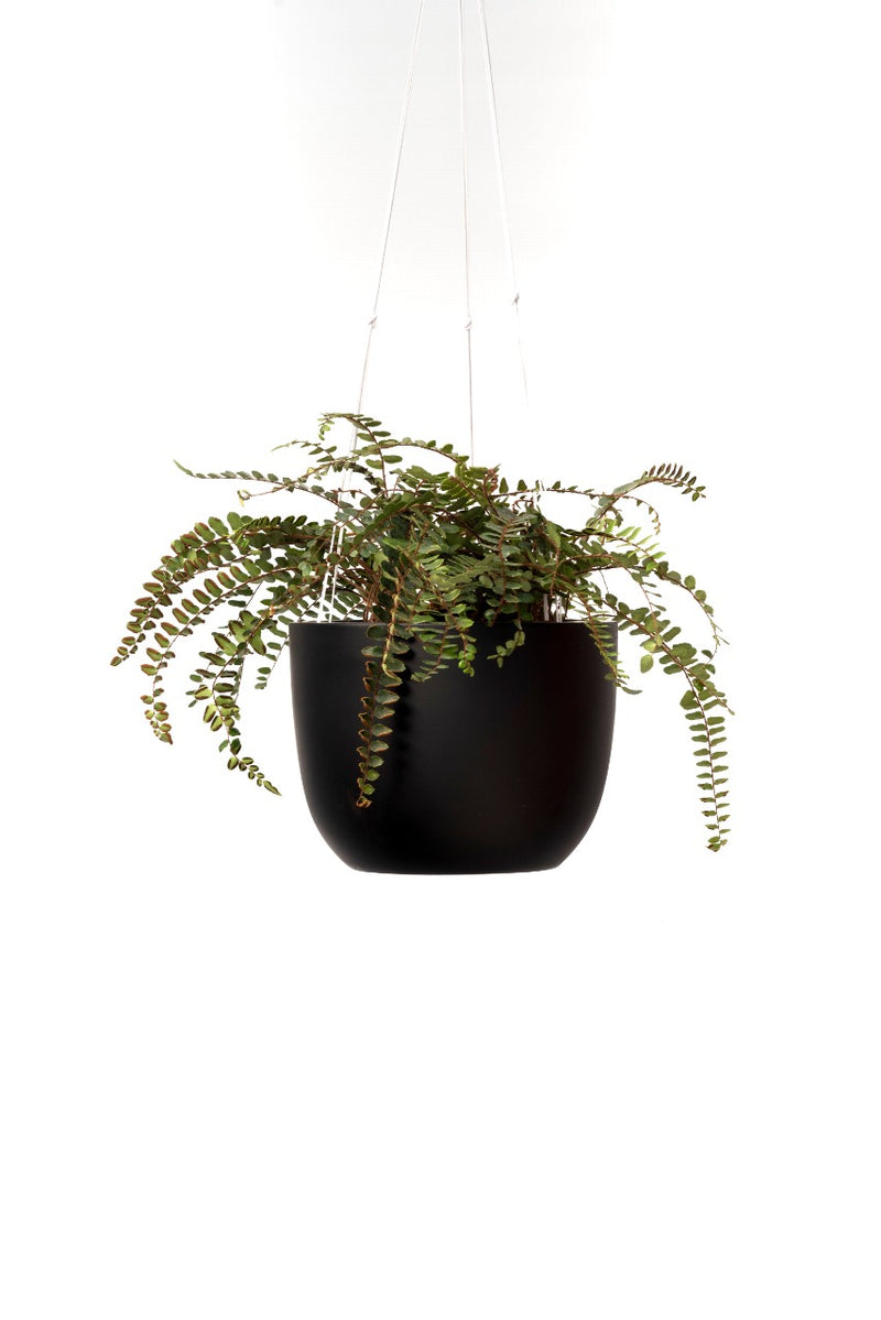 Maceta Diseño Pot Colgante de Fibra de Vidrio