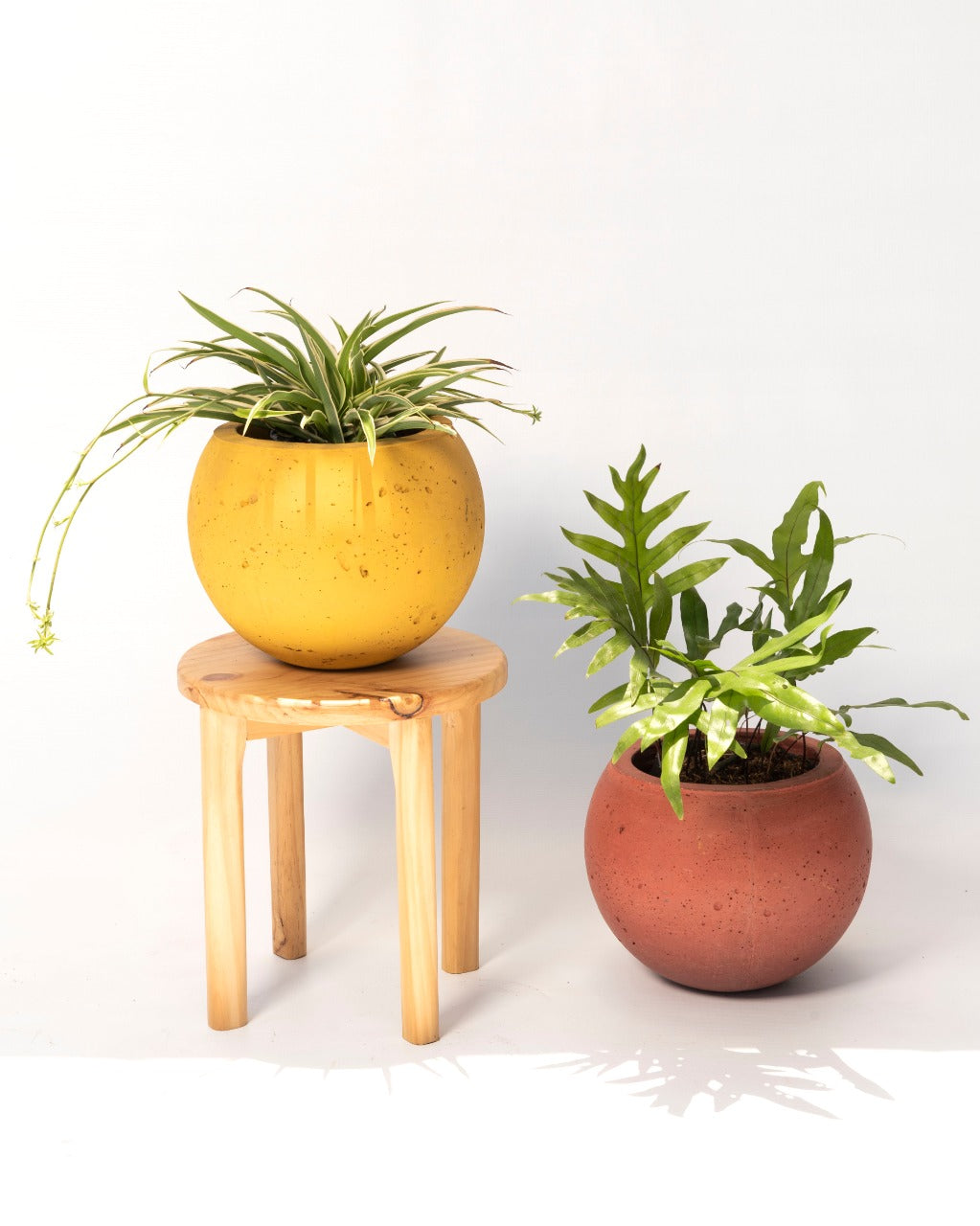Maceta Diseño Esfera de Cemento Poroso